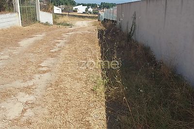 listing-picture-0