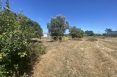 listing-picture-0