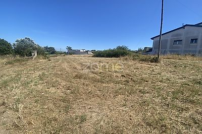 listing-picture-0