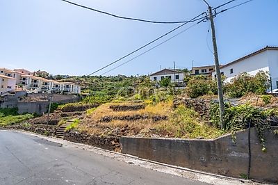 listing-picture-0