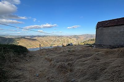 listing-picture-0
