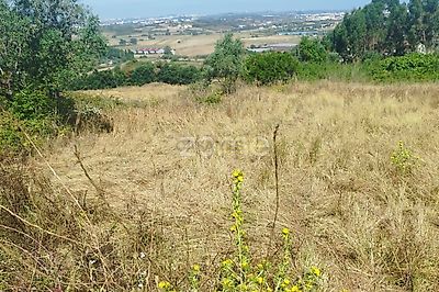 listing-picture-0