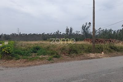 listing-picture-0