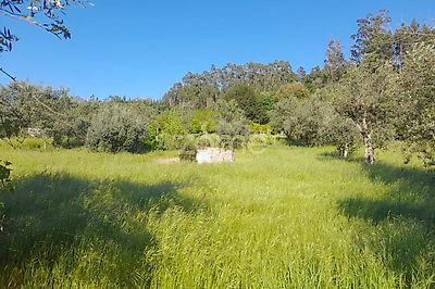 listing-picture-0