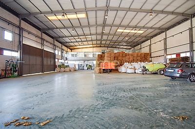 listing-picture-0