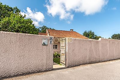 listing-picture-0