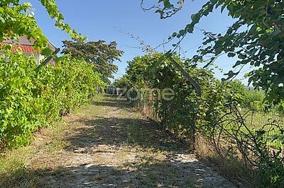 listing-picture-0