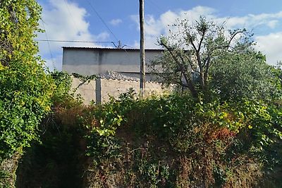 listing-picture-0