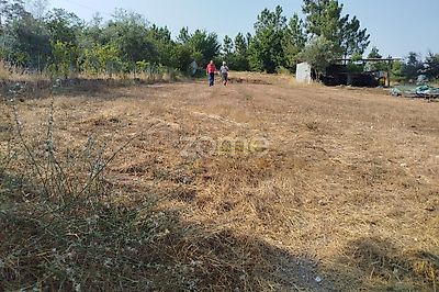 listing-picture-0