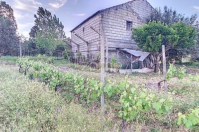 listing-picture-0