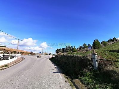 listing-picture-0