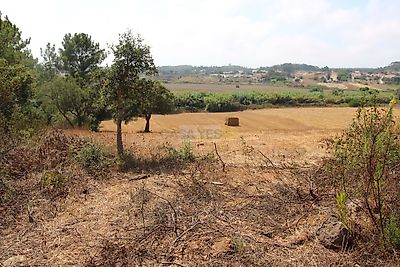 listing-picture-0