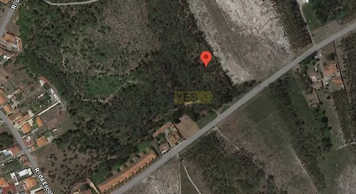 main-listing-picture-0