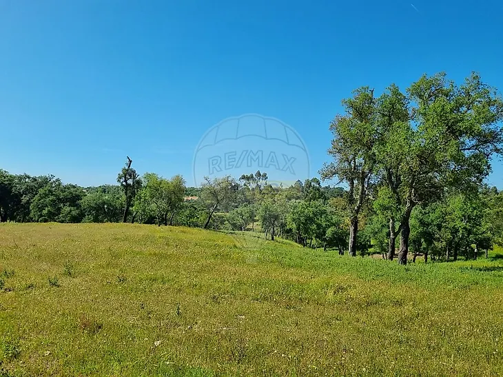 main-listing-picture-0