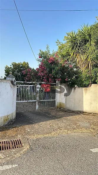 main-listing-picture-0