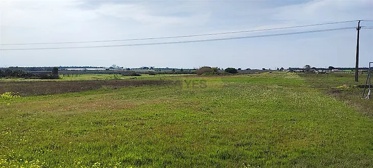 main-listing-picture-0