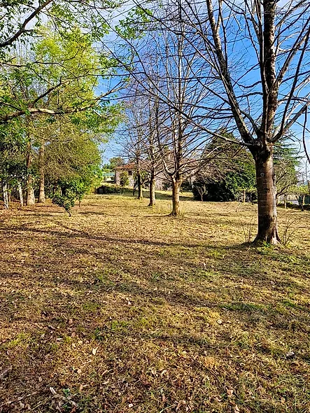 main-listing-picture-0