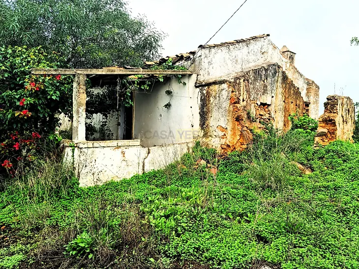 main-listing-picture-0