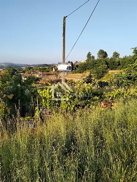 main-listing-picture-0