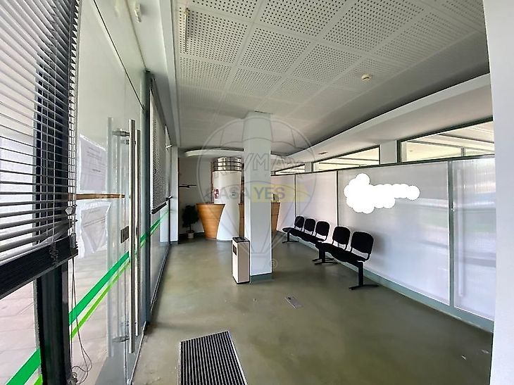 main-listing-picture-0