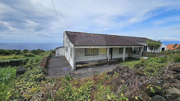main-listing-picture-0