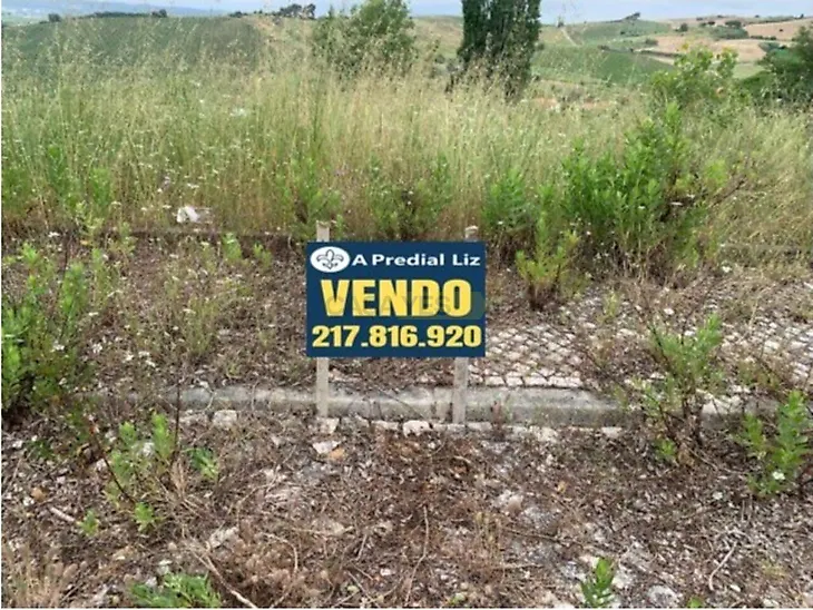 main-listing-picture-0
