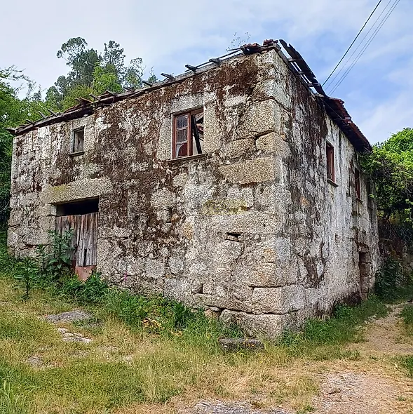 main-listing-picture-0