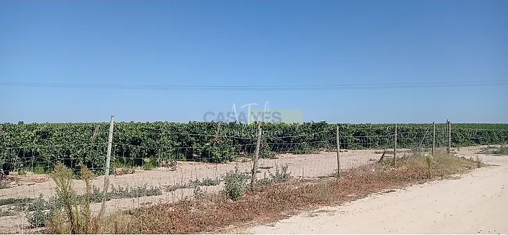 main-listing-picture-0