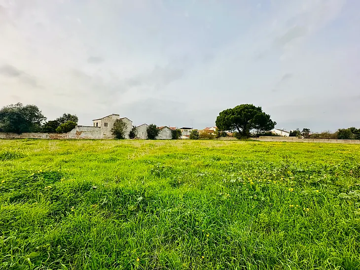 main-listing-picture-0
