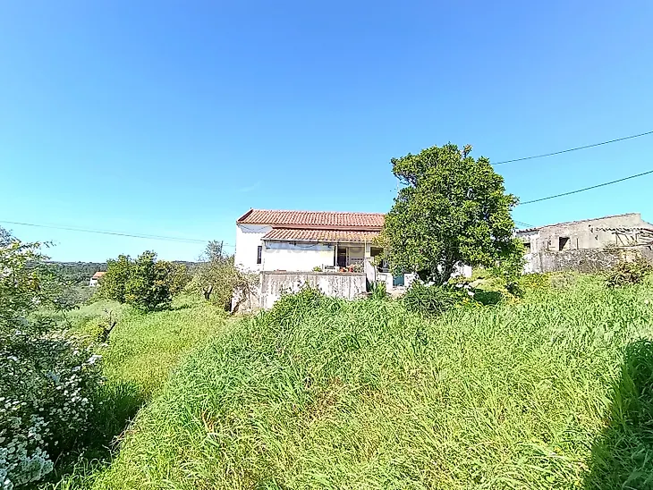 main-listing-picture-0