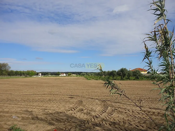 main-listing-picture-0
