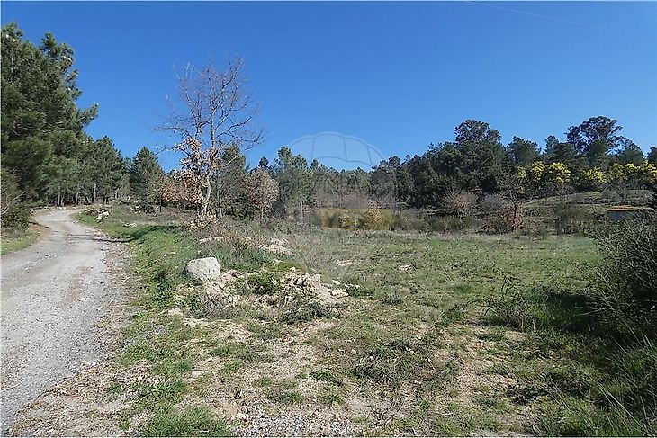 main-listing-picture-0