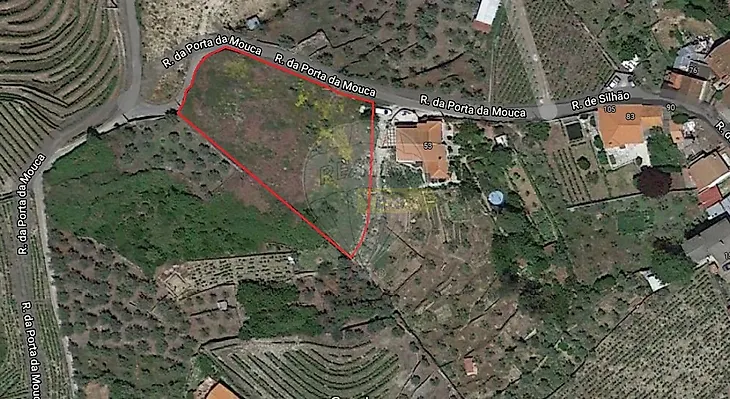 main-listing-picture-0
