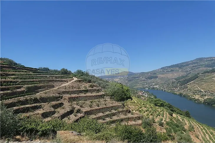 main-listing-picture-0
