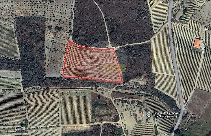 main-listing-picture-0