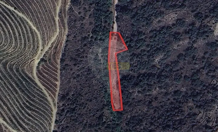 main-listing-picture-0