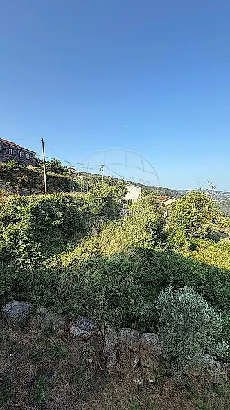 main-listing-picture-0