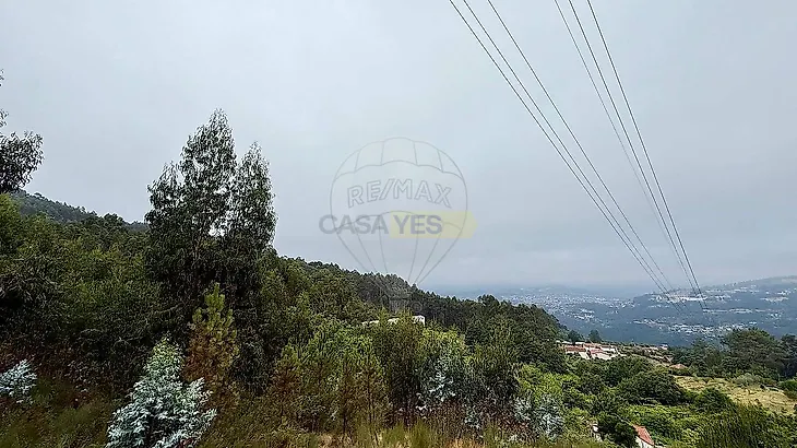 main-listing-picture-0