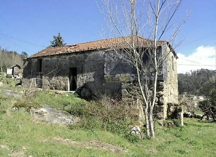 main-listing-picture-0