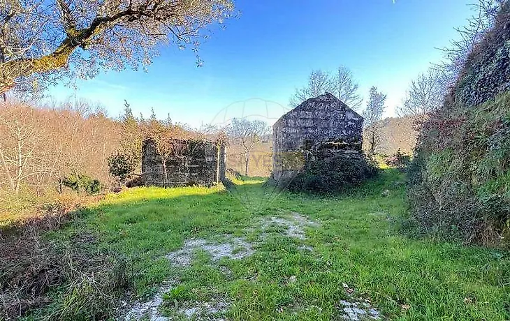 main-listing-picture-0