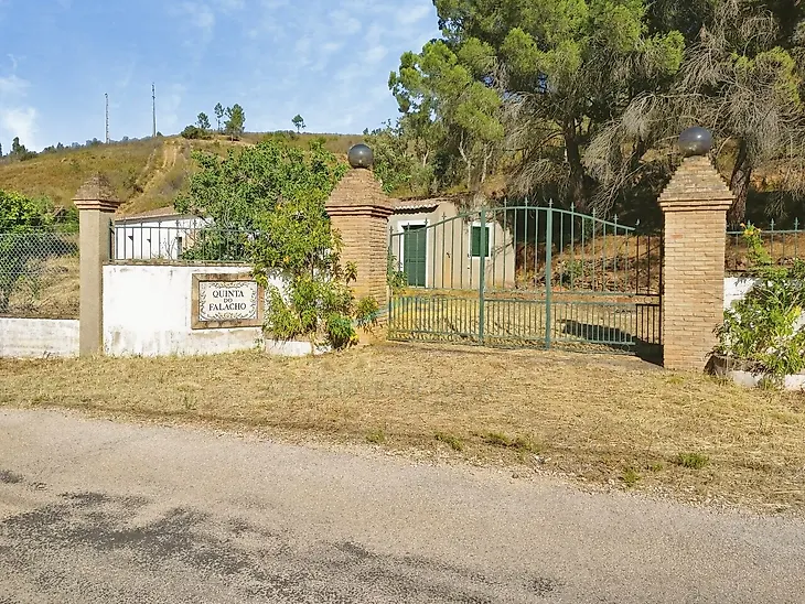 main-listing-picture-0