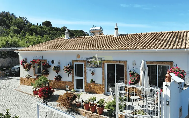 main-listing-picture-0