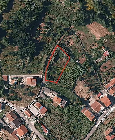 main-listing-picture-0