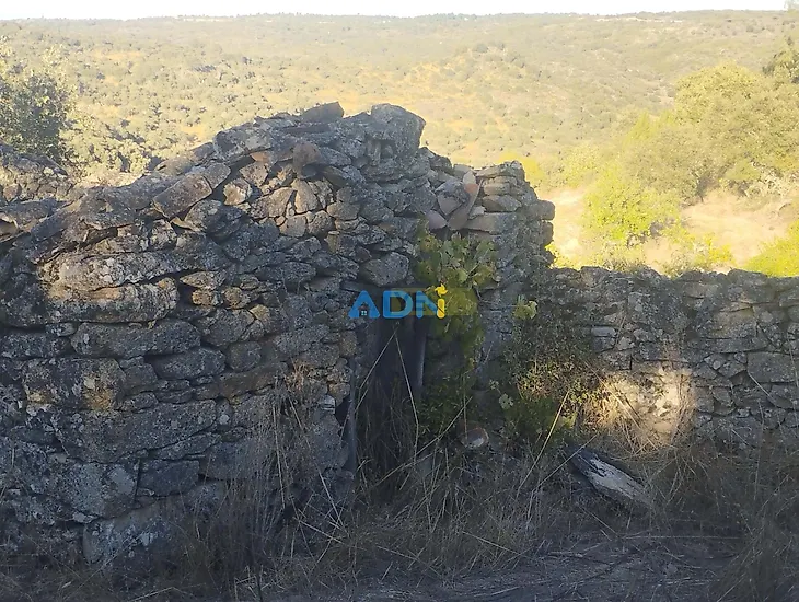main-listing-picture-0