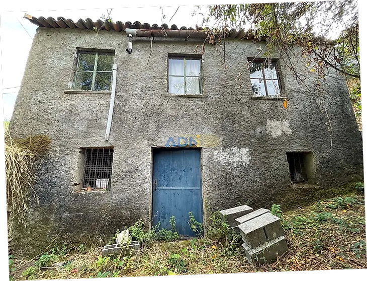 main-listing-picture-0