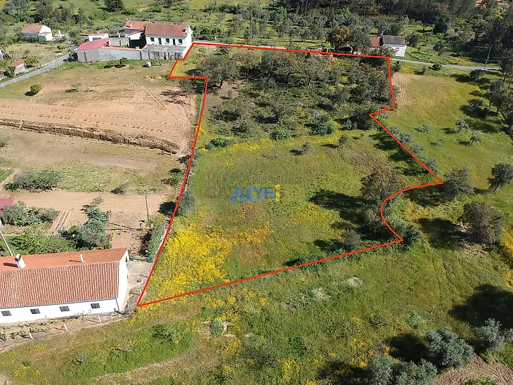 main-listing-picture-0