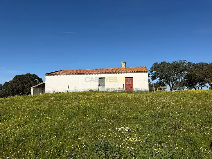 main-listing-picture-0