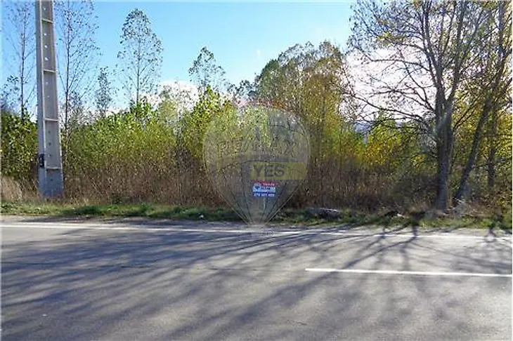 main-listing-picture-0
