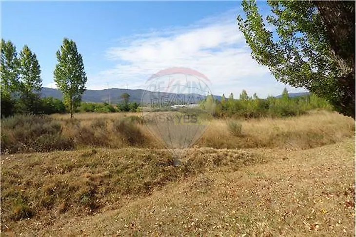 main-listing-picture-0
