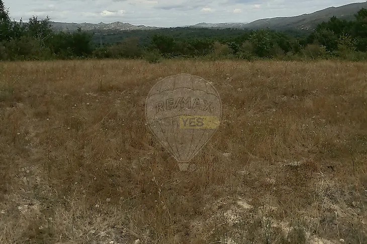 main-listing-picture-0